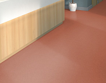 Tarkett iq Melodia 2619 фото 2 | FLOORDEALER